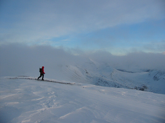 Sigh.  Another walk in the dark.