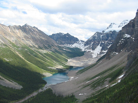 See any grizzly bears down there?