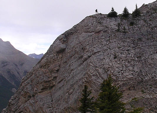 It may not be a Kane Scramble, but it's fun nonetheless!