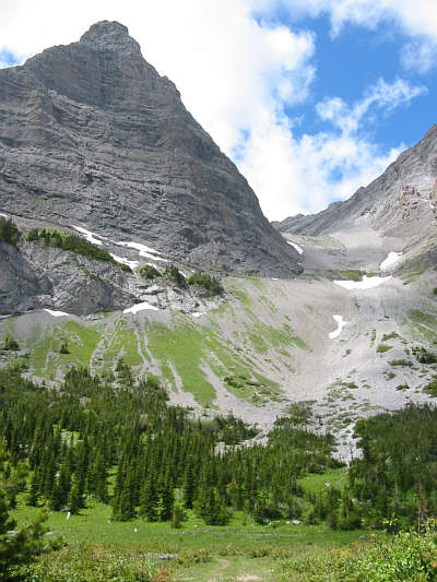 No bushwhacking today!