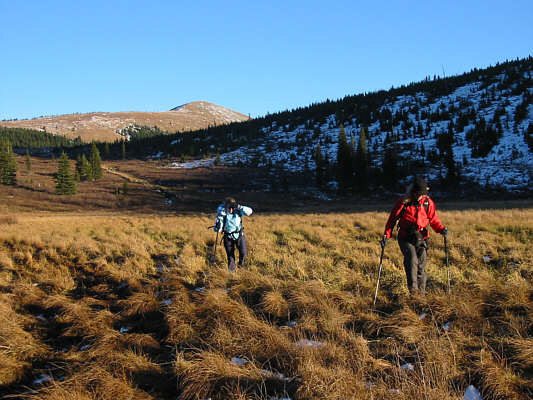 Okay, let's go eat! I'm in the mood for some Alan Kane-butt jerky!