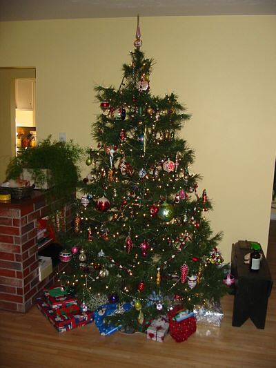 Is the tree real or fake?