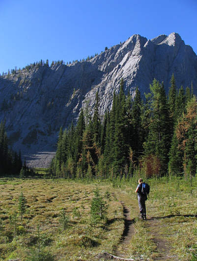 Apparently caused by frost heaving moist ground.