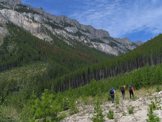 It's hard to get going with all the delicious raspberries nearby!