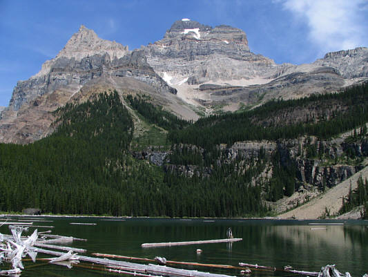 Sigh. I wish I was scrambling...