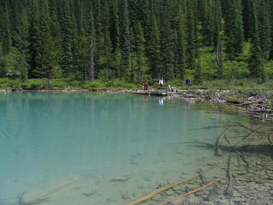 Doesn't that water look inviting?