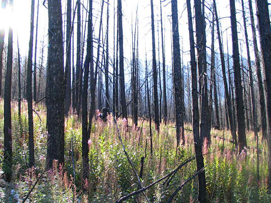 Bob is barely visible just left of centre.