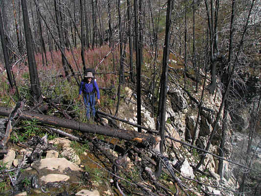 I discovered that one of my sandals was missing here.  The implications of this wouldn't hit home until I got back to my car the next evening!