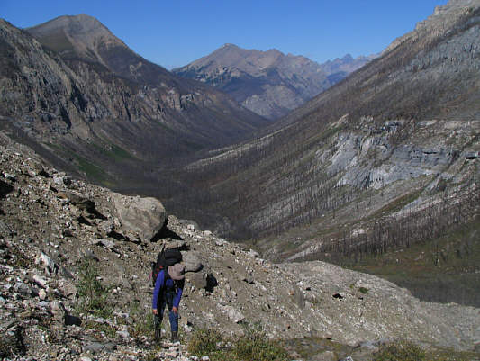 Bob actually holds his knee caps together as he climbs!