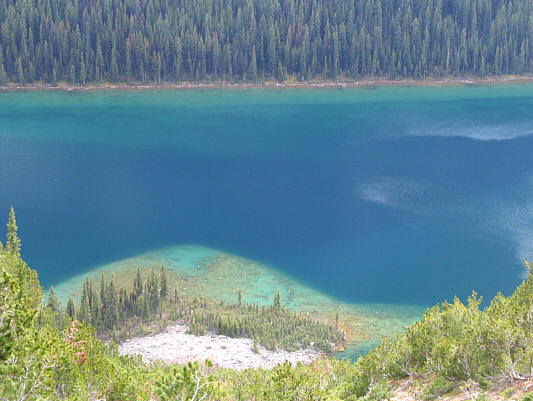 Some rare colour on this mostly drab day.