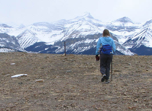 Not absolutely sure, but I think the peak in the middle is Mount Oliver.