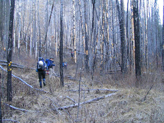 Bushwhacking seems so much more fun in a large group!