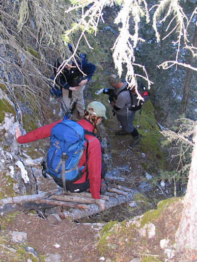 I wouldn't put a lot of faith in this ladder--the bottom rung had already snapped in two!