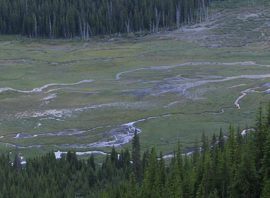 Doesn't look so bad from up here...