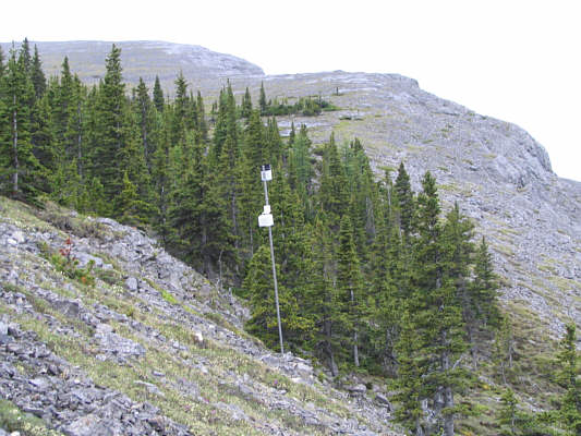 So who actually comes up here to check on this thing??