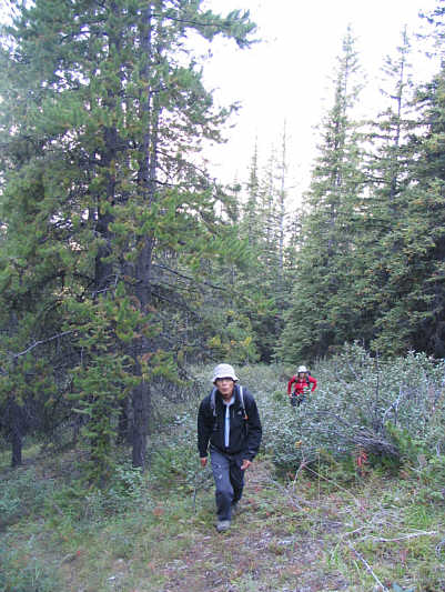 The bushwhack isn't all that bad really.