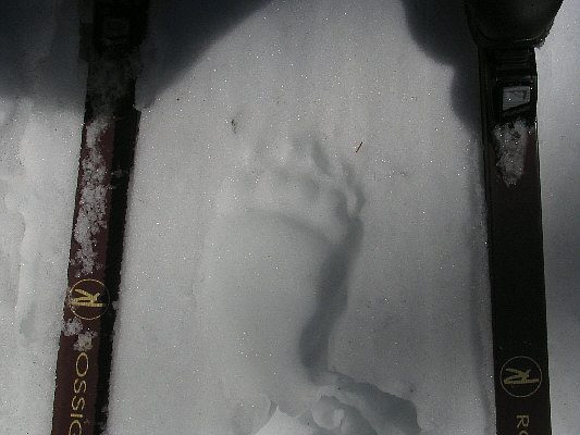 Yikes! Them claws are big!!