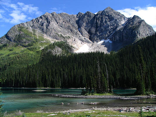 Maybe the long drive in was worth it after all...