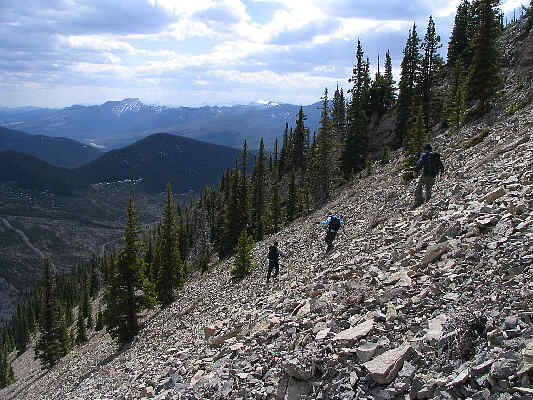 Watch out for ticks...again!