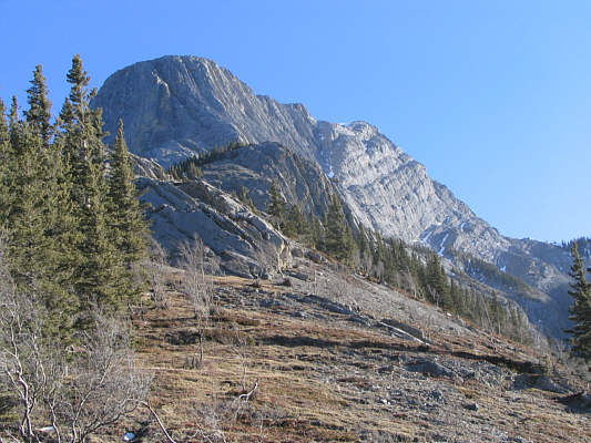 Hopefully, you're on your way down if you take this photo at 2:46 PM in February!