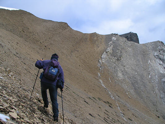 Not necessarily that bad for traversing, but not terribly fun either!