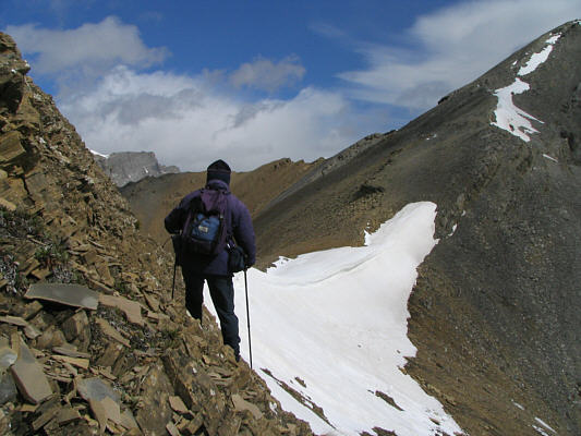 I think the much ballyhooed shortcut tops out at the snow patch at upper right rather than the col.
