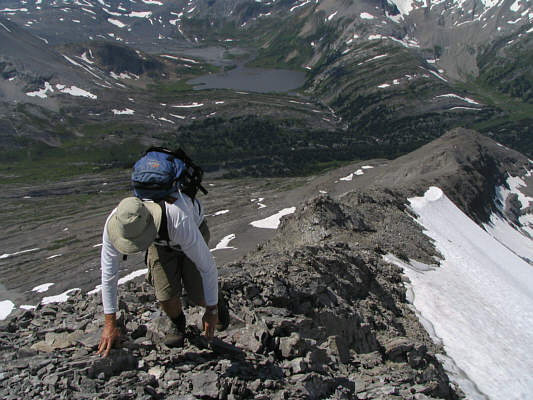 A slight breeze kept things bearable and made all the difference on this hot day.
