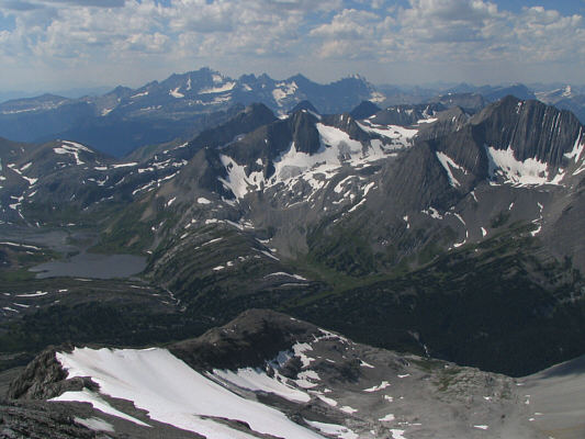 Foch yeah times two!