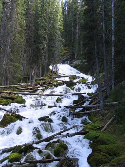 Wouldn't be surprised if it came from the leaky bathtub in my house.