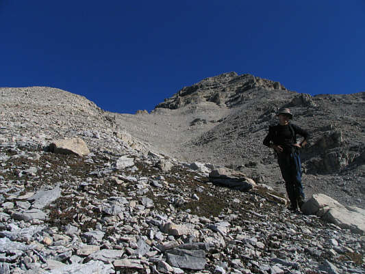 Easy plodding so far.