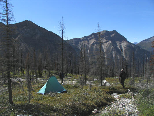 My pathetic bowl of water had completely dried up by this time.