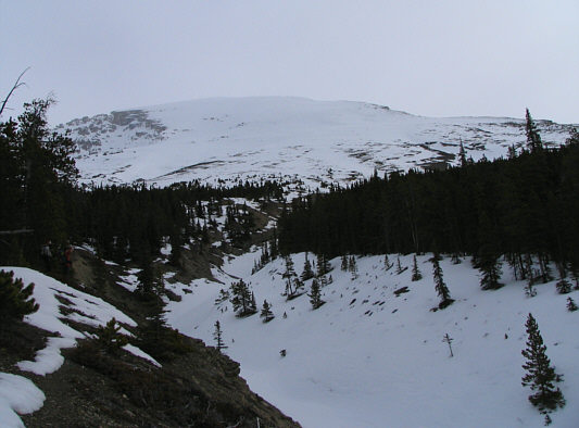 Let the slogging begin!