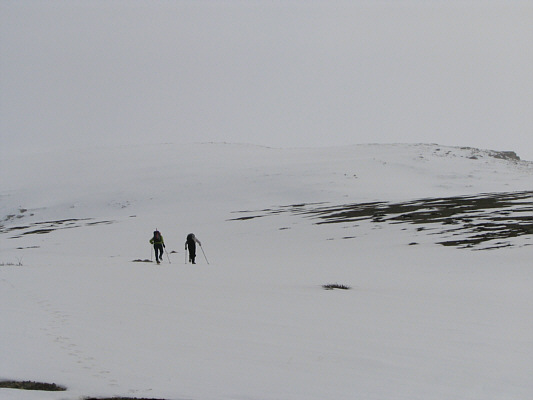 Unbelievably, the summit is about 3.5 hours away from here!