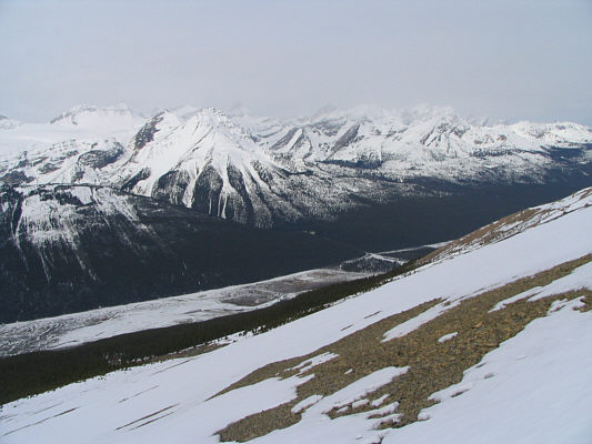 A disappointing day for views.