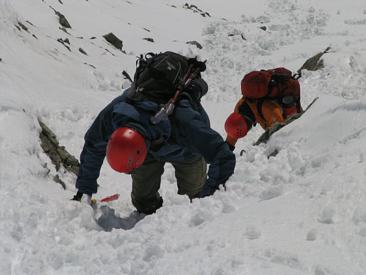 Kinda looks like they're climbing up!