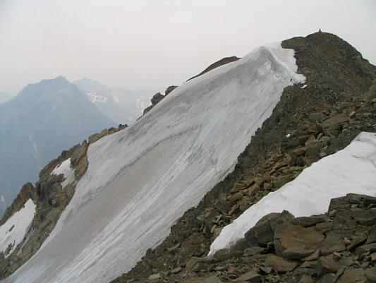 I could go on bagging nubs all day!