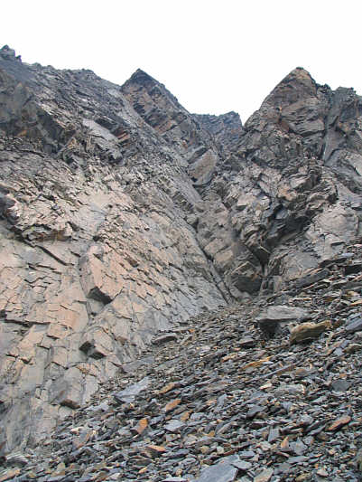 I needed a distraction from the crappy rubble.