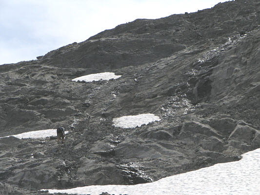 I was really tired at this point and could hardly keep up with Dave.