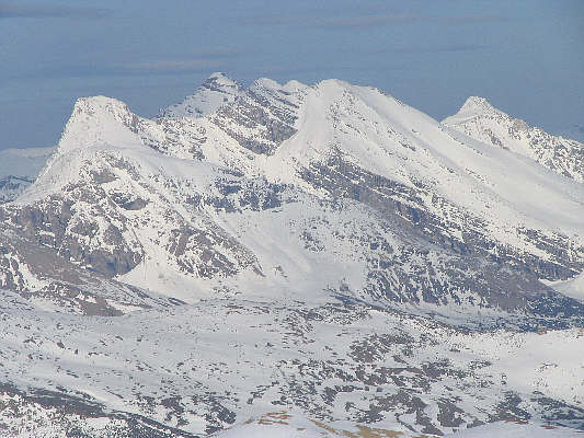 Might be worth exploring someday...