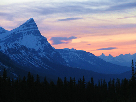 One of my favourite views along the Icefields Parkway.