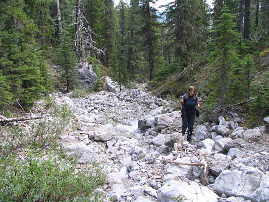 We met a couple further back who gave up trying to go up this tedious creek bed.