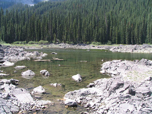 This lake stinks...literally!