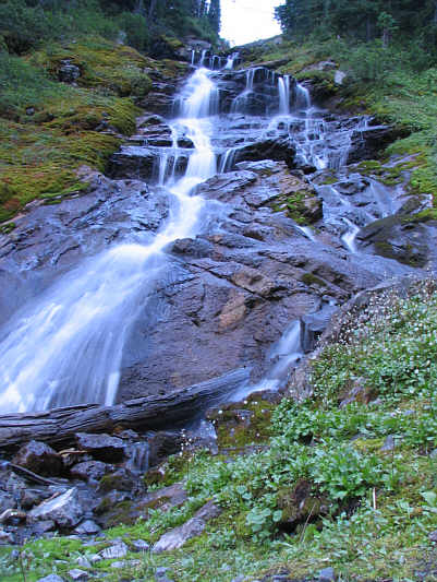 Must be all the negative ions!