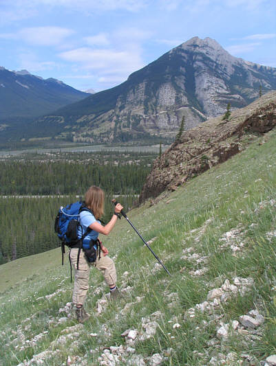 Mosquitoes were really bad here since there was very little breeze.