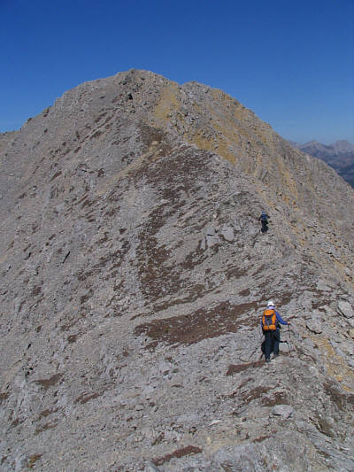 I stayed behind Dinah to make sure she didn't chicken out before the summit!