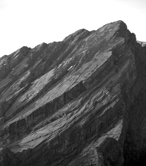 In the fading light, it's almost hard to tell whether this photo is colour or black & white.