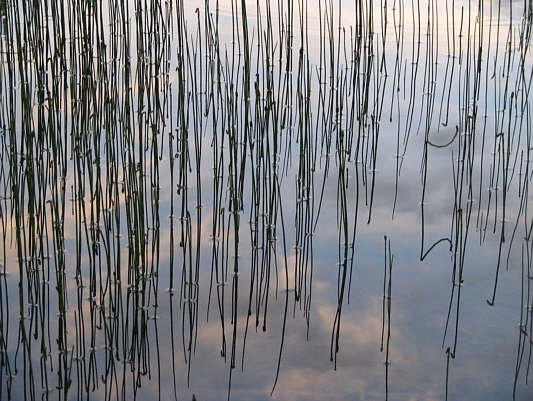 Because there's no cable TV at the cabin!