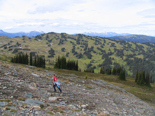 A great area for cross-country rambling!