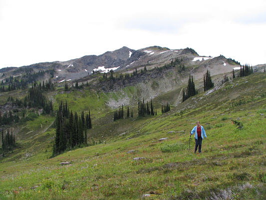 It's starting to rain...