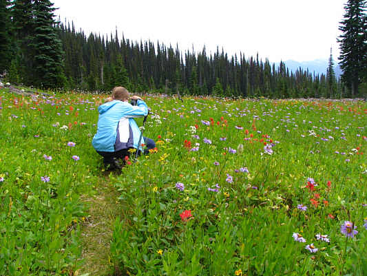 A photographer's paradise!